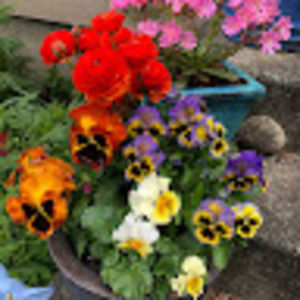 Meet your Posher, Corinna